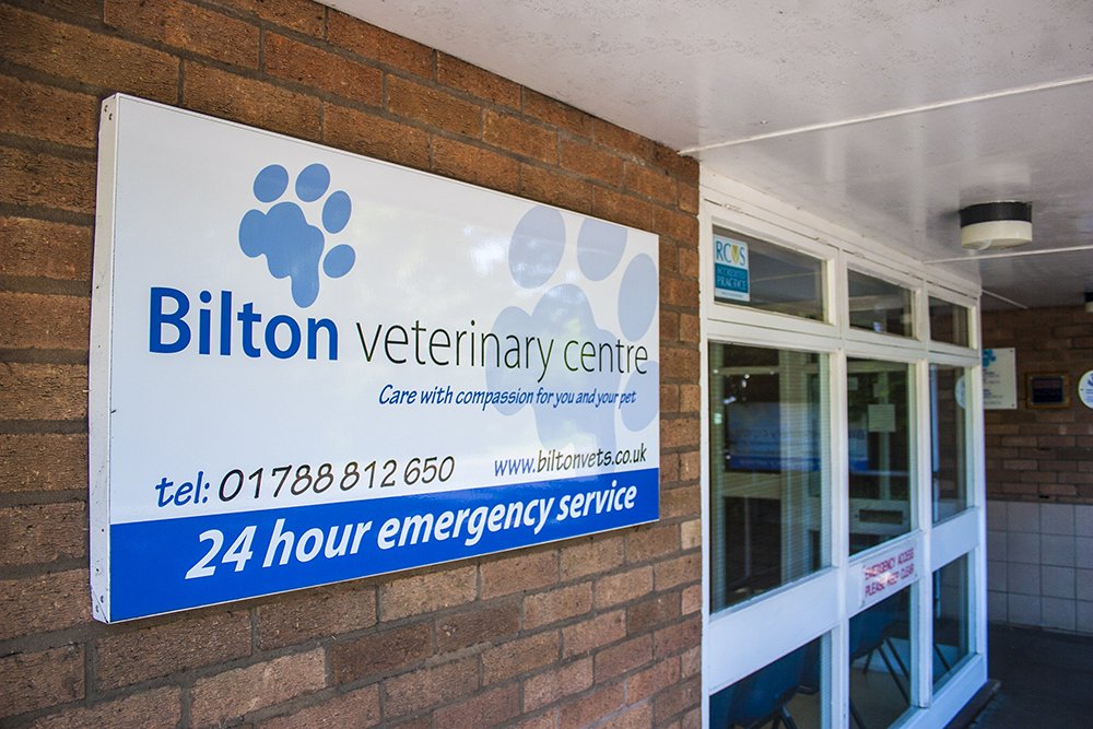 Bilton Veterinary Centre Longest Established Vets in Rugby