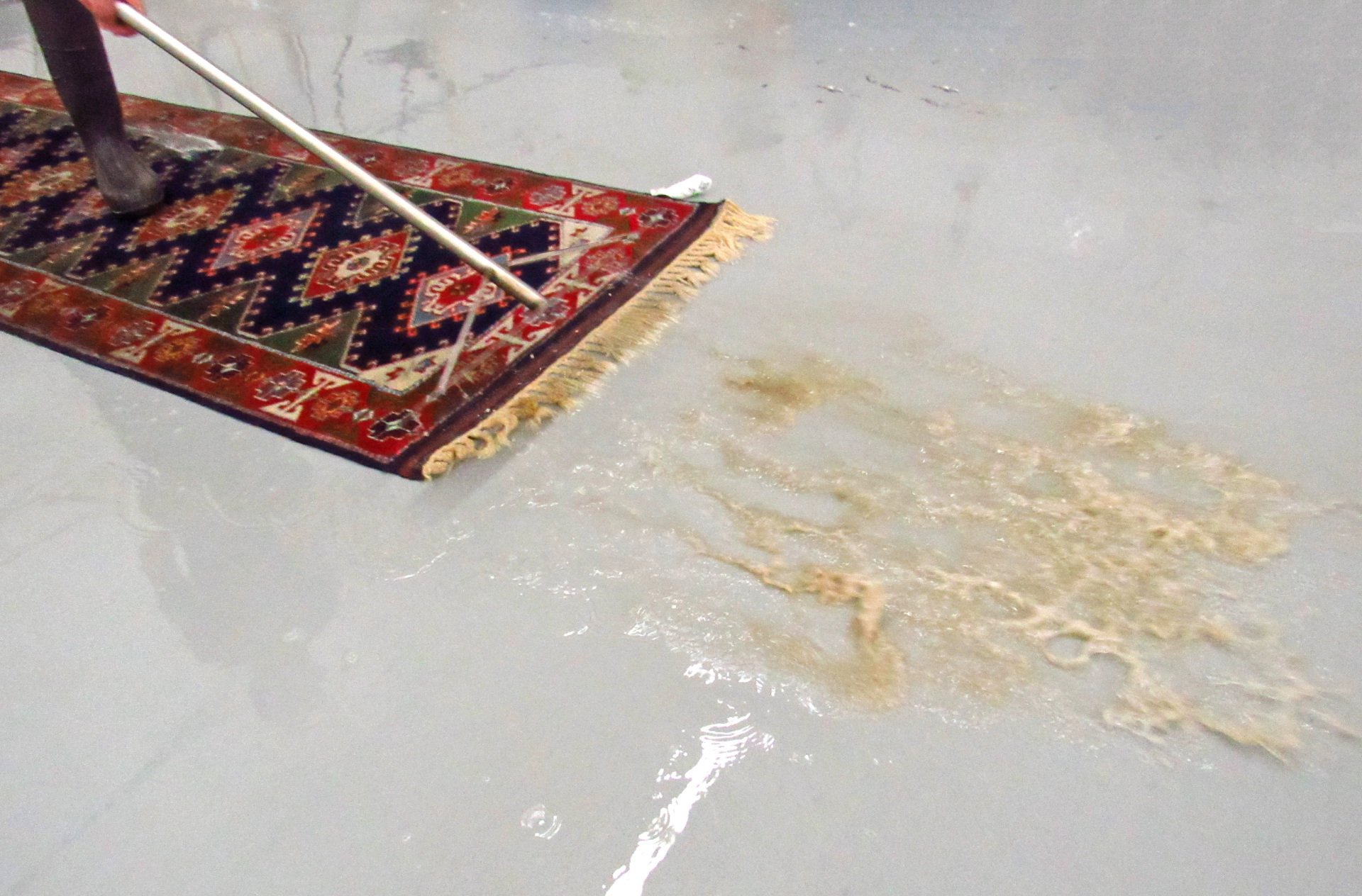 Oriental, Area and Persian Rug Cleaning Minneapolis, MN