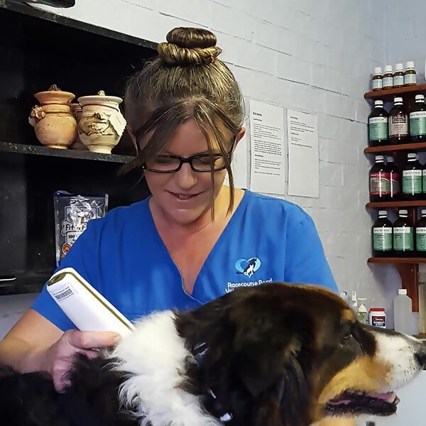 About Racecourse Road Veterinary Hospital Ballina