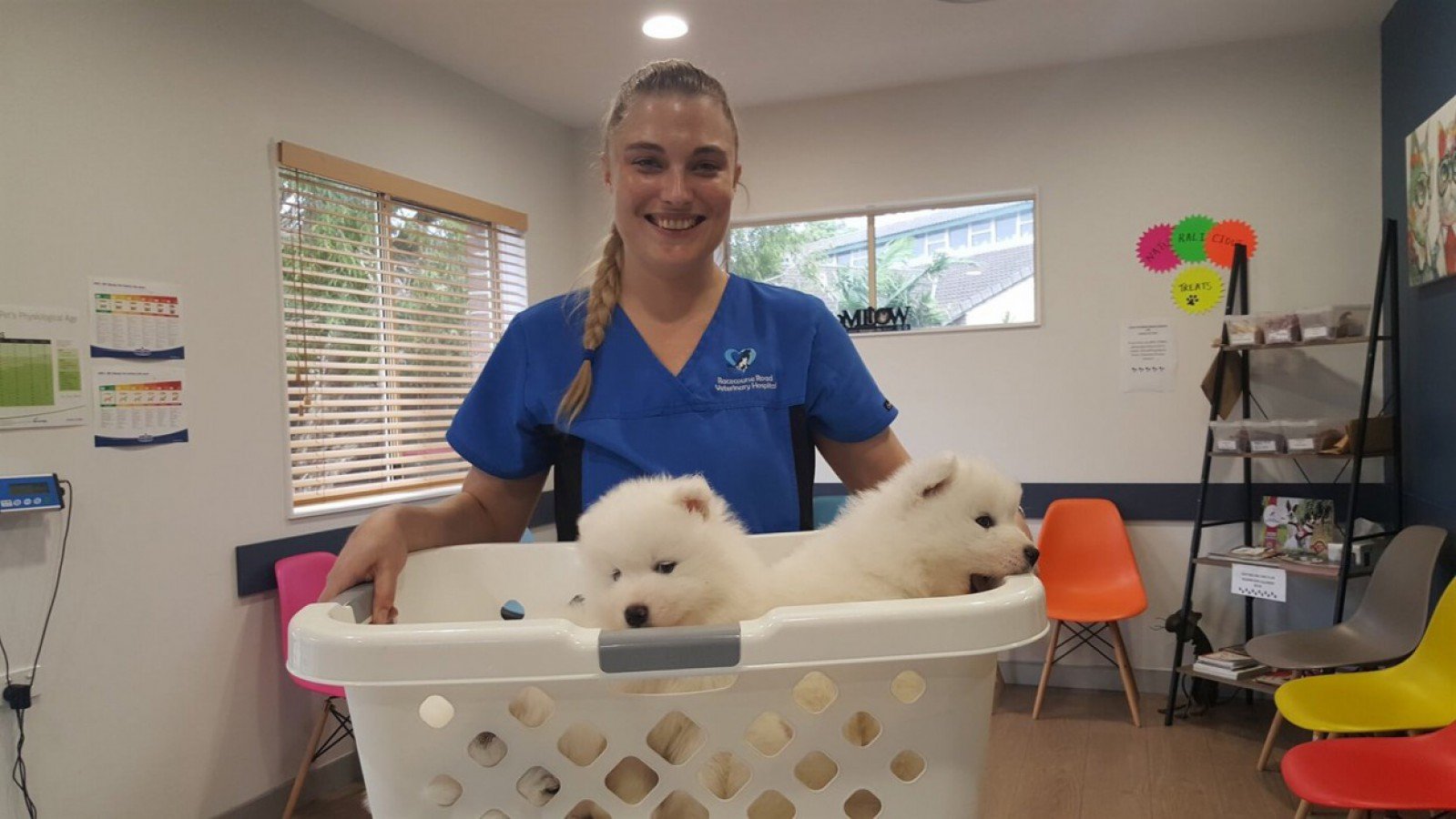 About Racecourse Road Veterinary Hospital Ballina