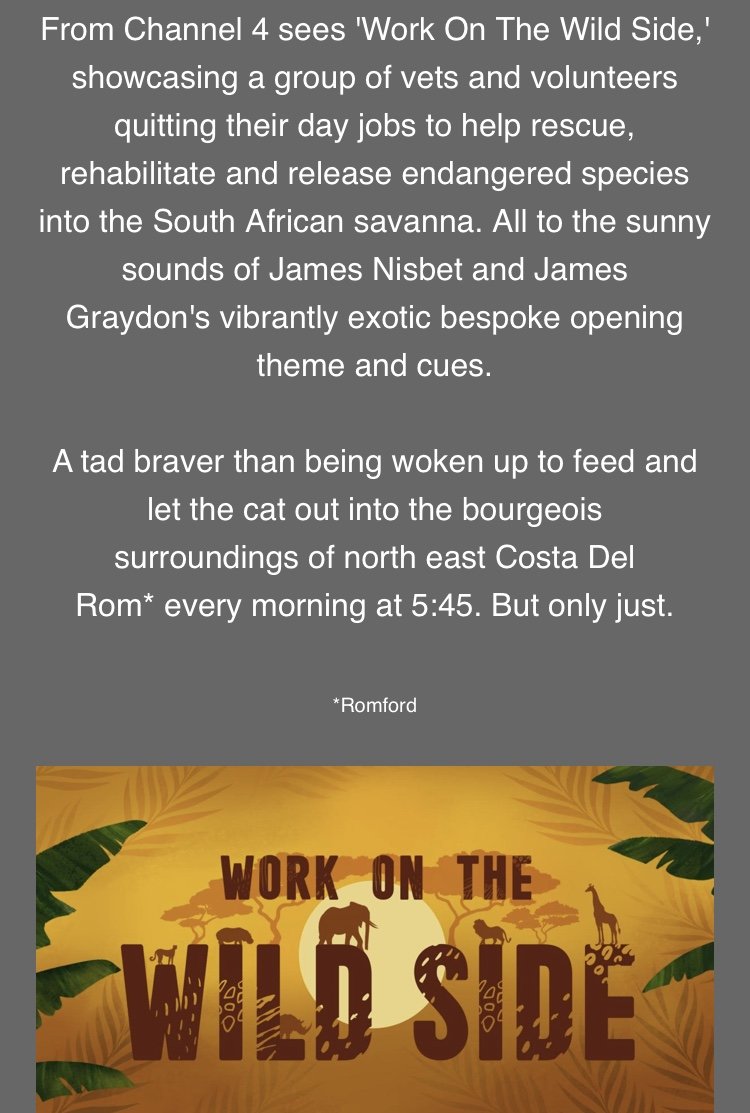 James Nisbet UK Based Guitarist, Producer, MD