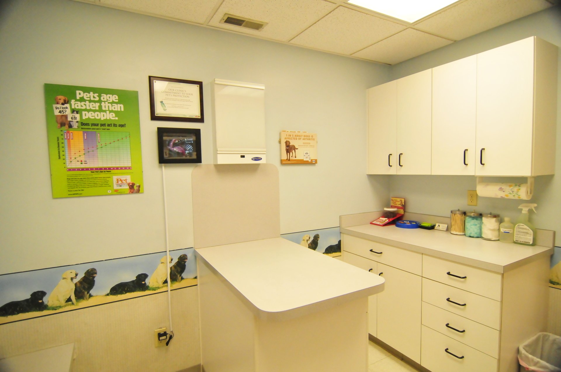 Evergreen Animal Hospital