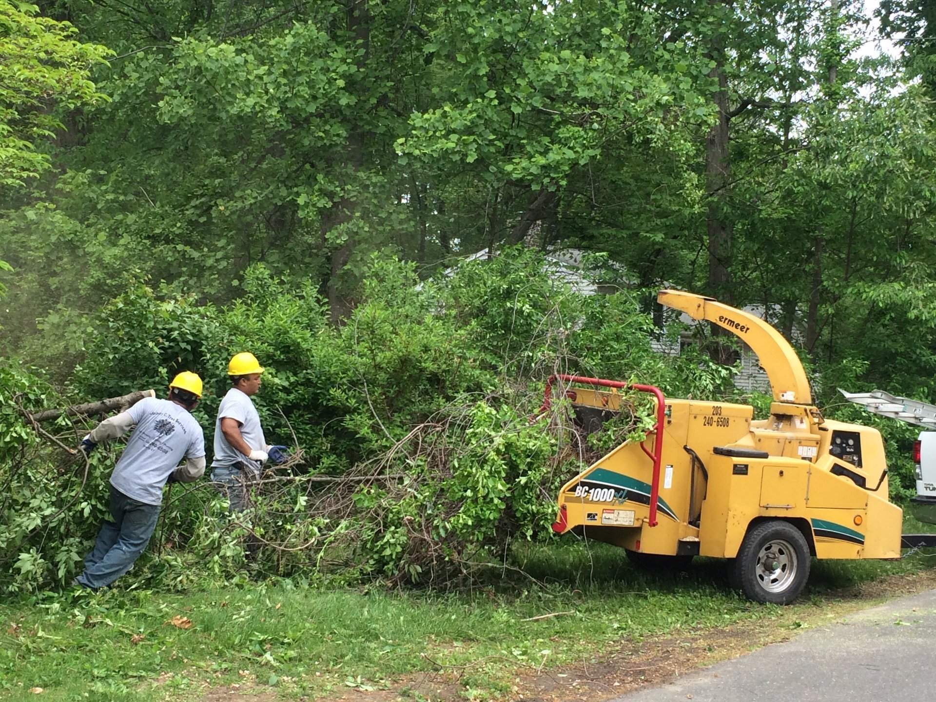Brush Chipping Tree Services Redding, Brookfield, & Danbury, CT