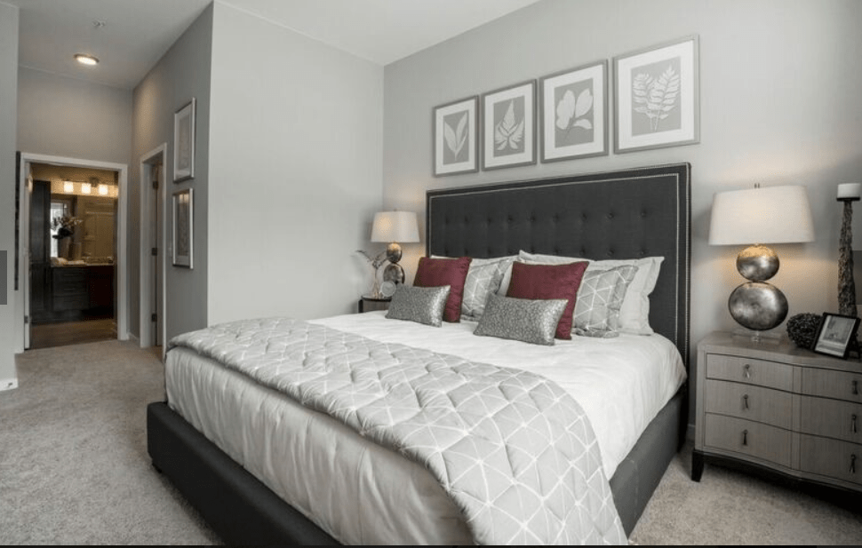 Citizen Apartments Modern Apartment Living in the Patrick Henry area
