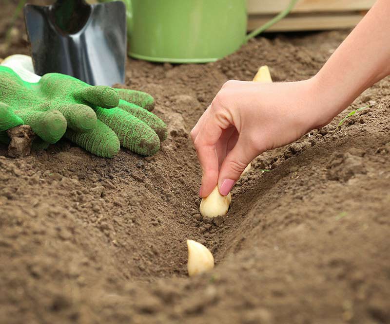 Landscape Supplies Murgon Murgon Sand & Soil