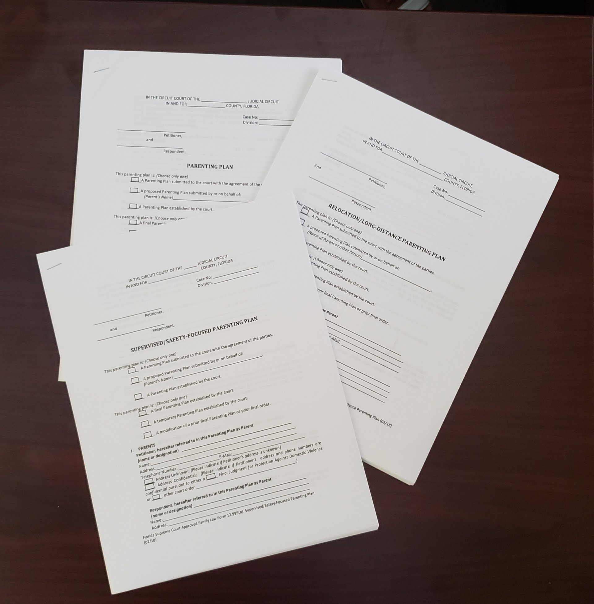 FLORIDA DISSOLUTION OF MARRIAGE AND PARENTING PLANS