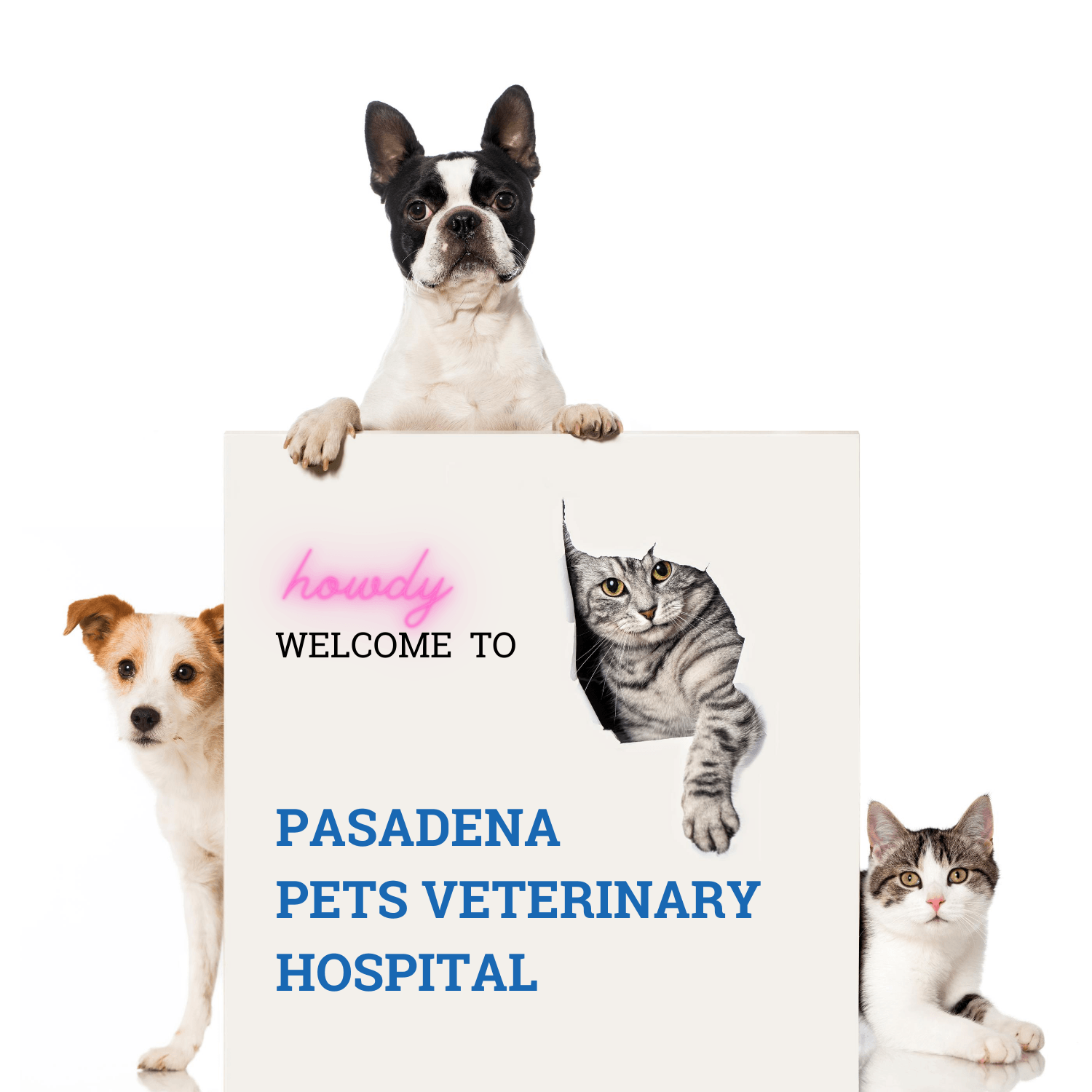 Pasadena Pets Veterinary Hospital Happy Pets Happy Owners