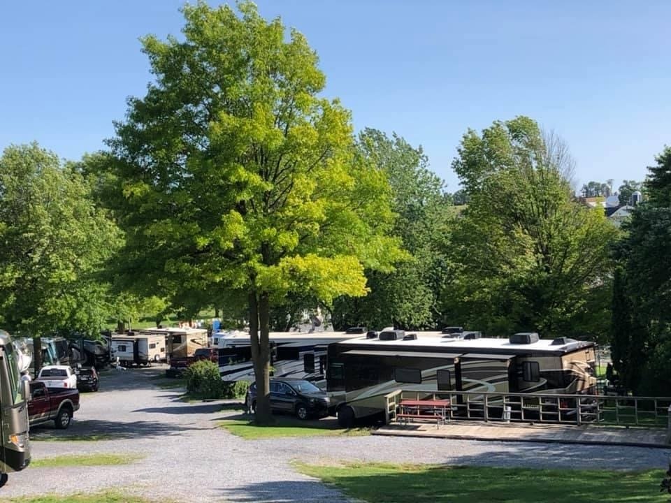 Beacon Hill Camping RV Sites