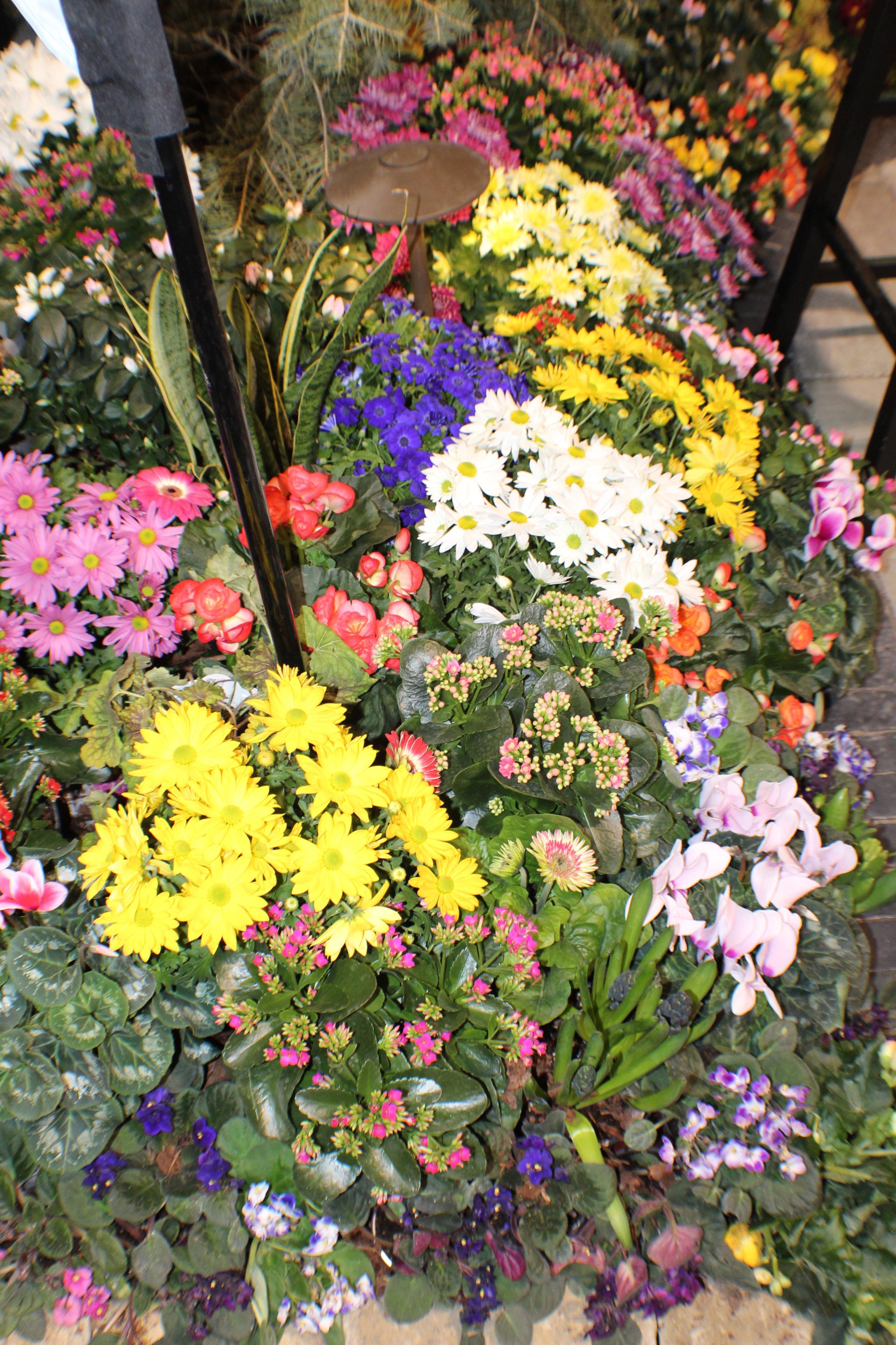 Home and Garden Show Second Nature Kansas City