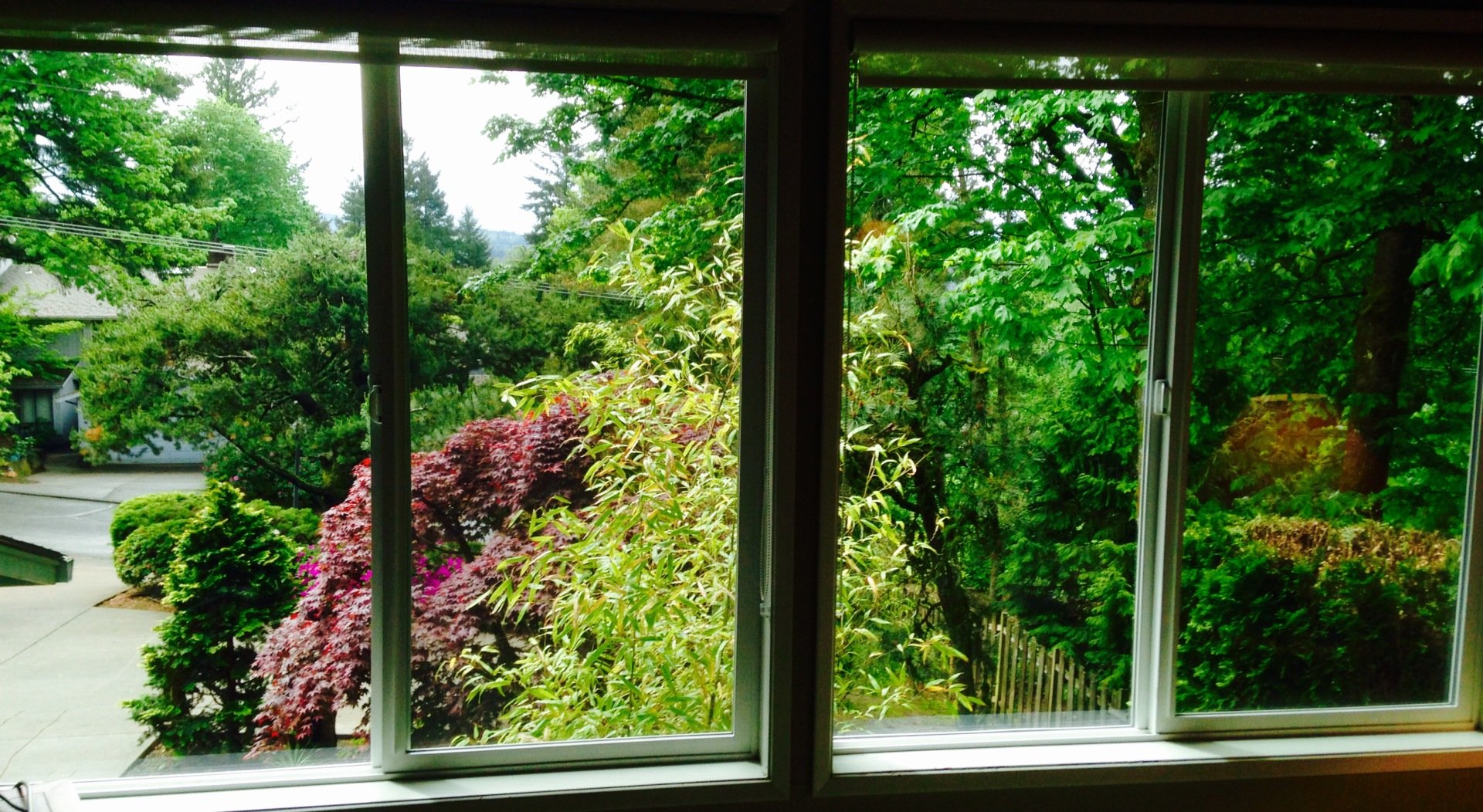 Home Window Tinting in Vancouver, WA Film Masters Window Tinting
