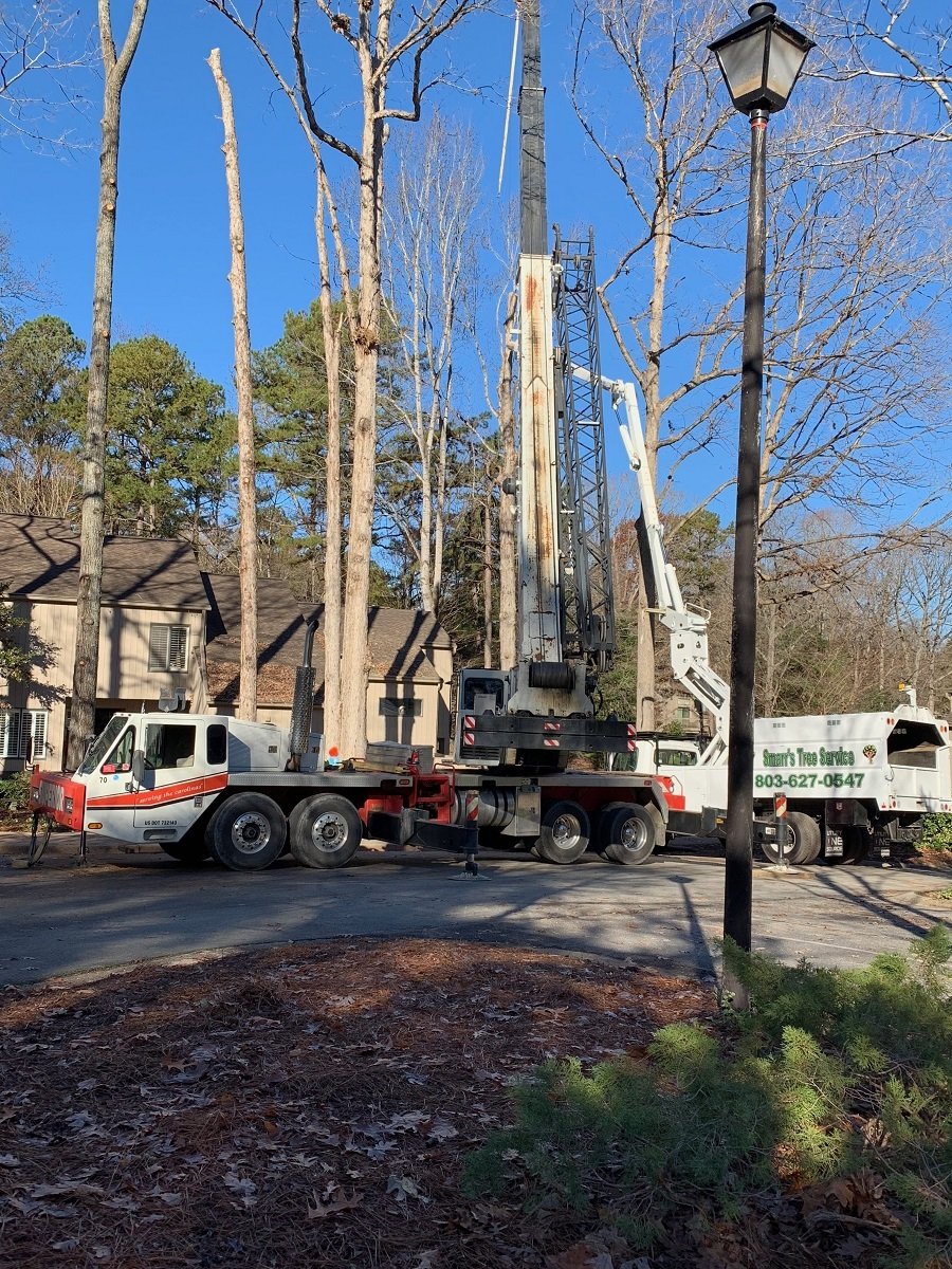 Tree Removal — York, South Carolina — Smarr's Tree Service LLC