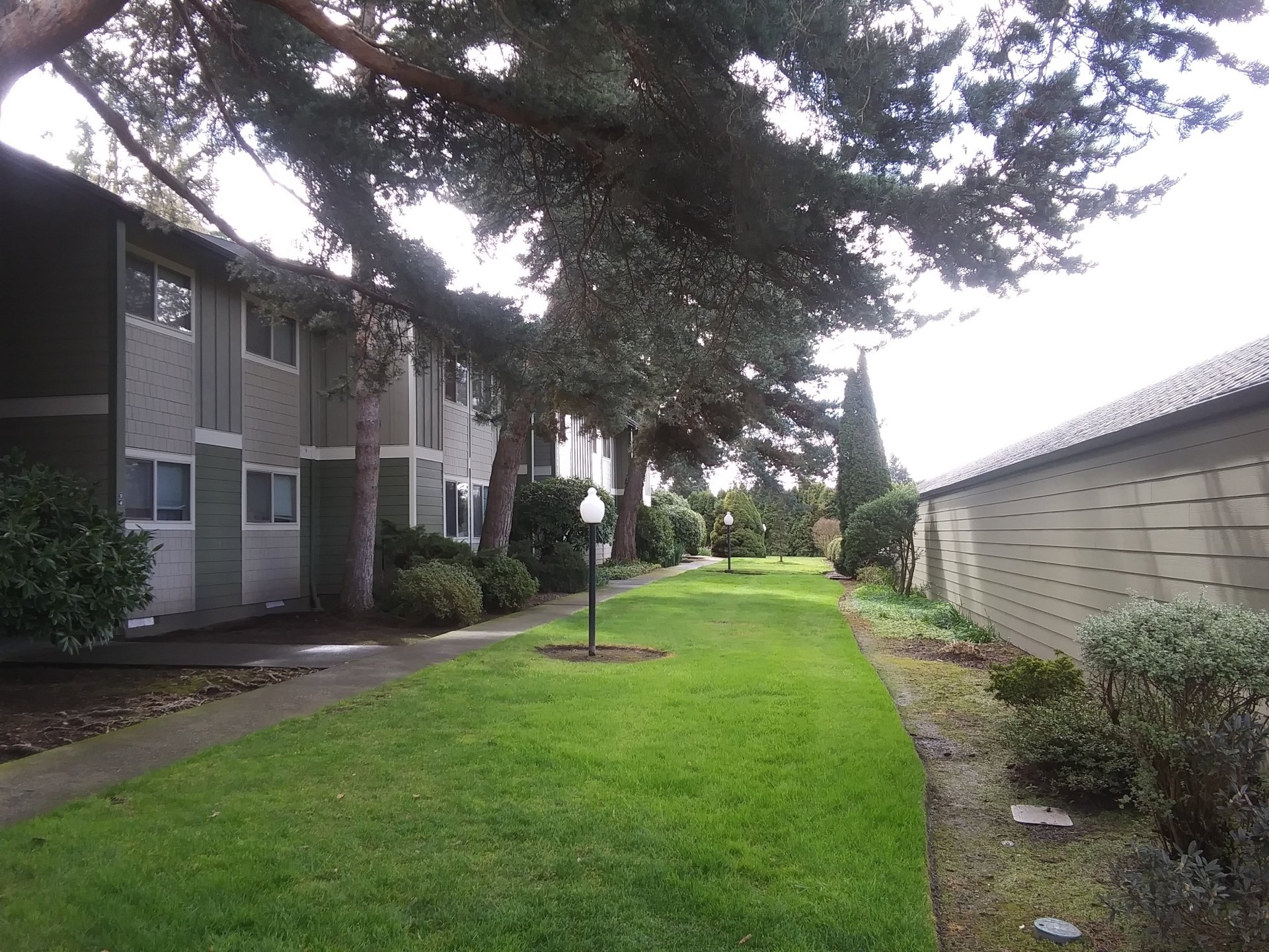 Evergreen Apartment Homes in Woodburn, OR