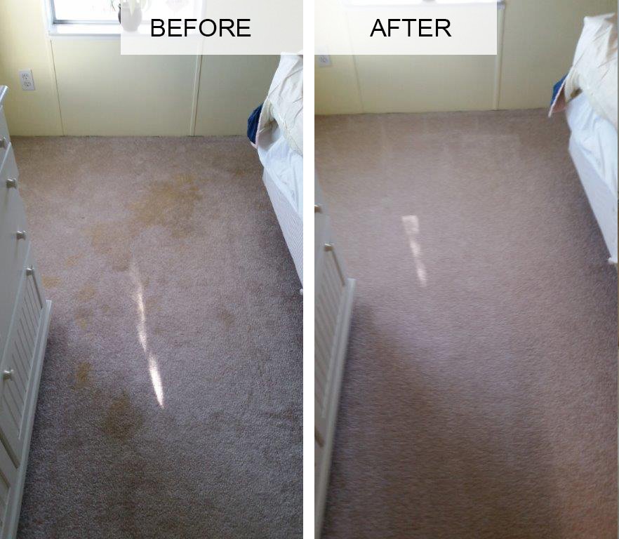 Our Cleaning Projects Venice, FL Superior Carpet & Upholstery Cleaning