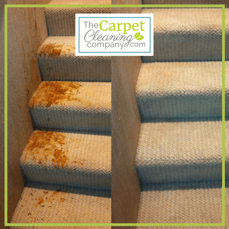 Carpet Cleaning Furniture Cleaning The Carpet Cleaning Company