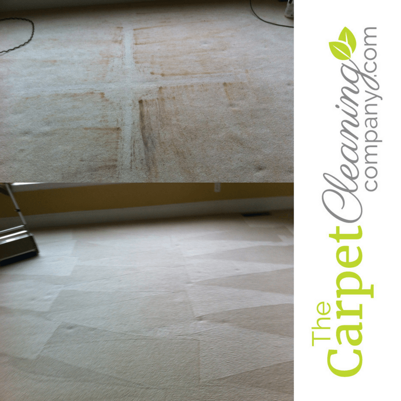 Local Carpet Cleaners Serving Metro Atlanta The Carpet Cleaning Company