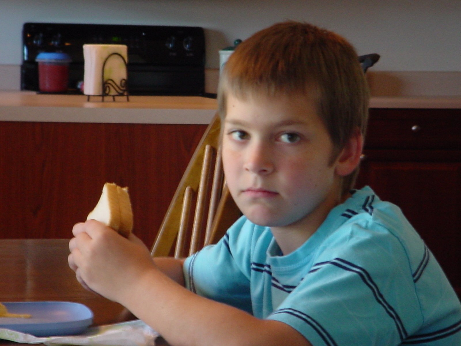 local carpet cleaners Gallatin, TN Master’s Touch Cleaning and