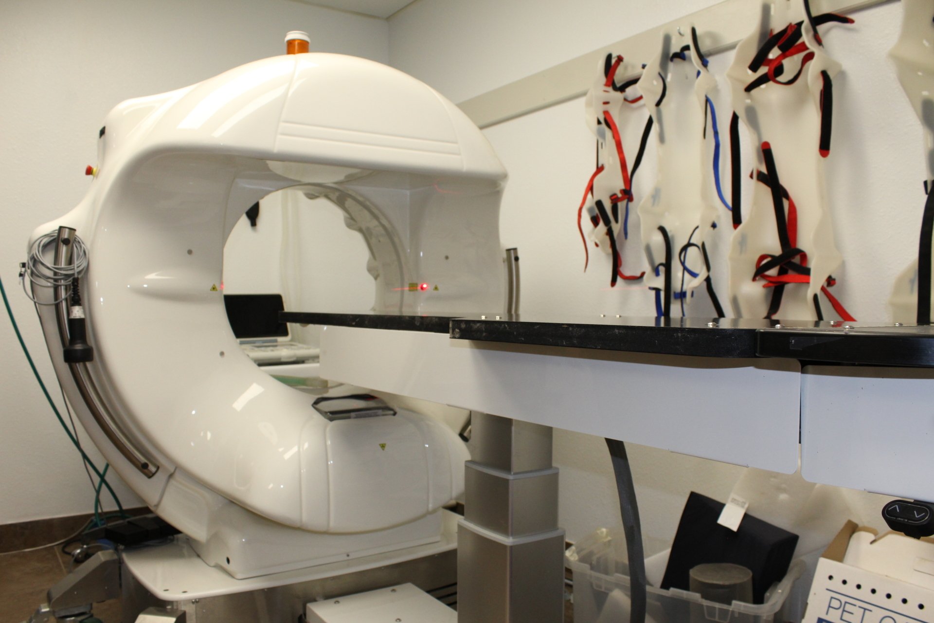 Animal CT Scan in Albuquerque Petroglyph Animal Hospital