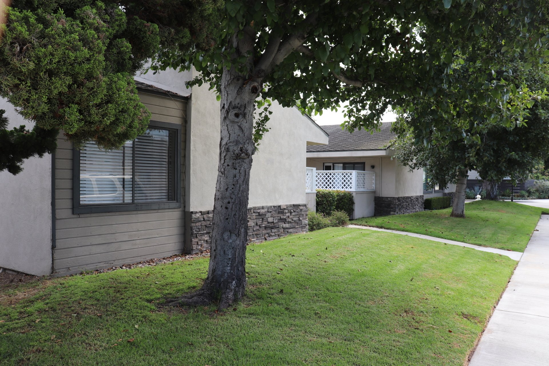 MAGNOLIA Wiese & Wiese Property Management