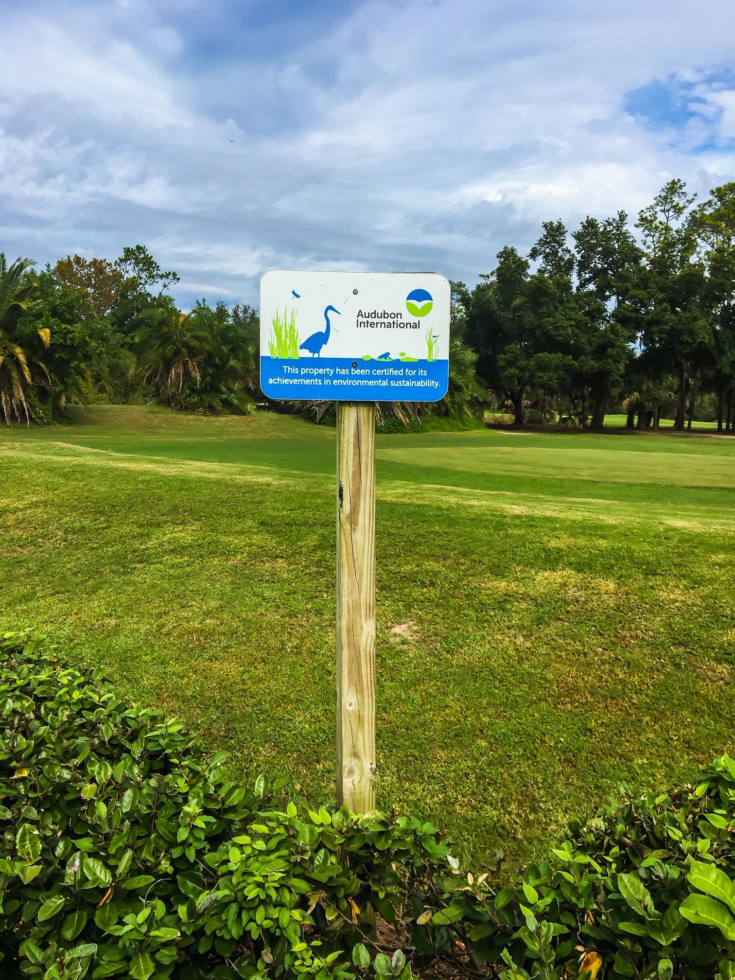 Gallery East Lake Woodlands