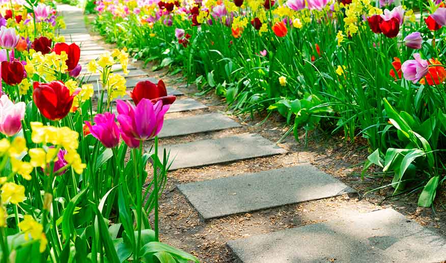 Garden & Landscaping Materials in Gladstone Dirt Cheap