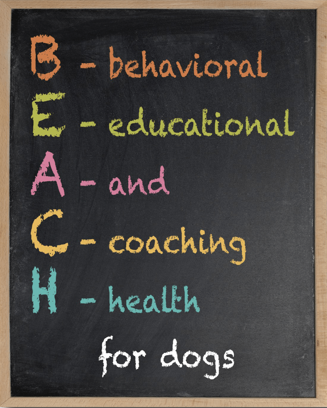 Dog Training Illinois, USA Beach For Dogs