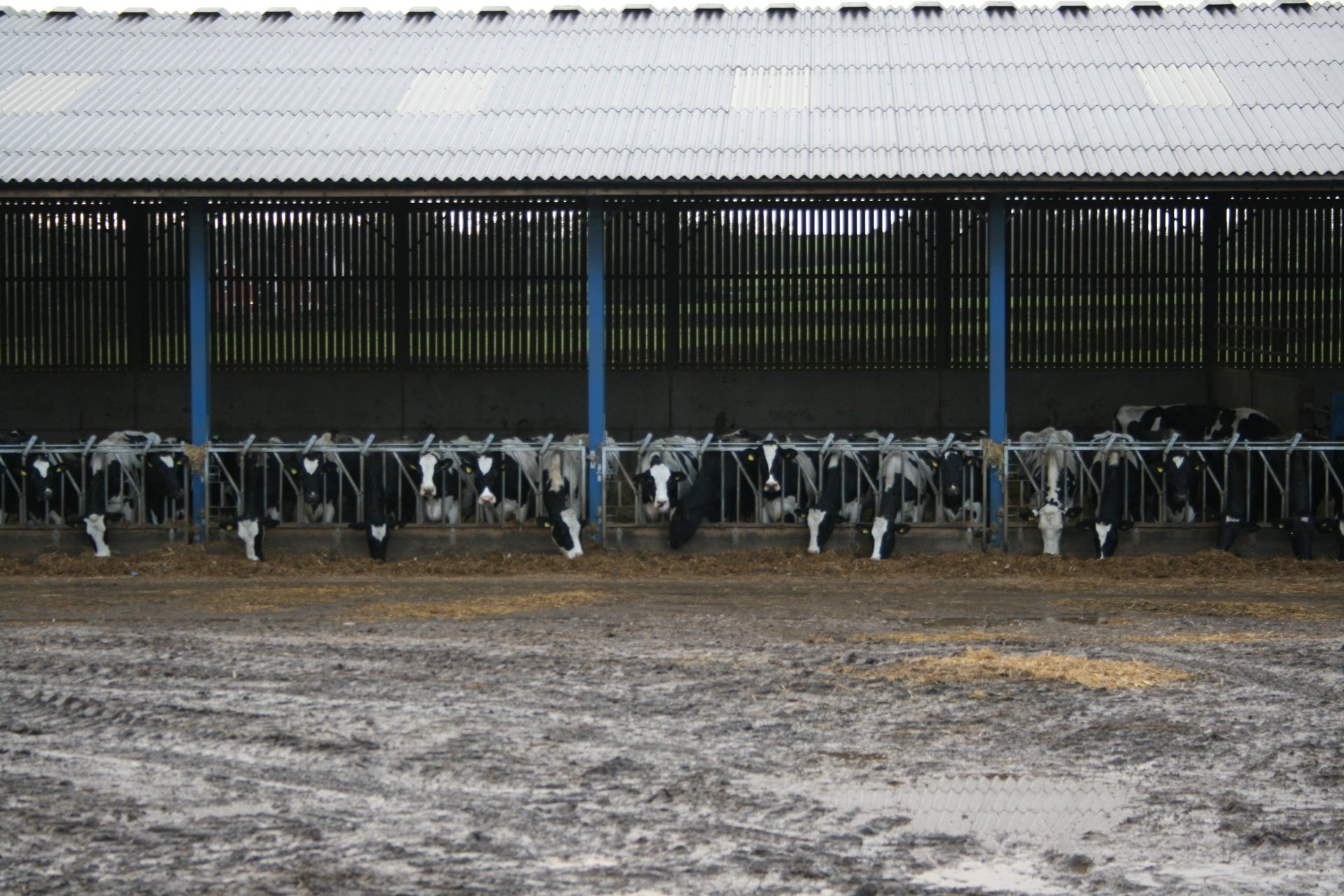 Livestock feed suppliers R C Taylor & Son Ltd