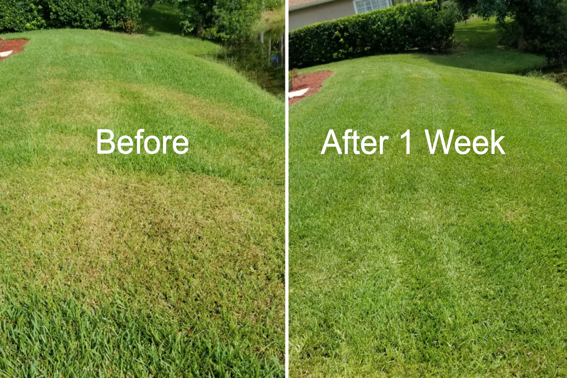 25 Best Pest Control Services in Jacksonville, FL 2022 LawnStarter