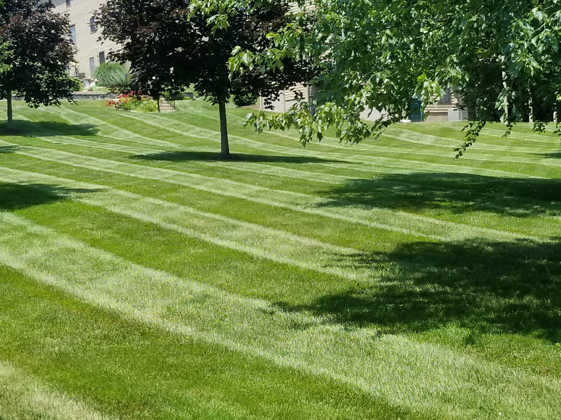 Lawn Care Connecticut Clean Cut Landscaping