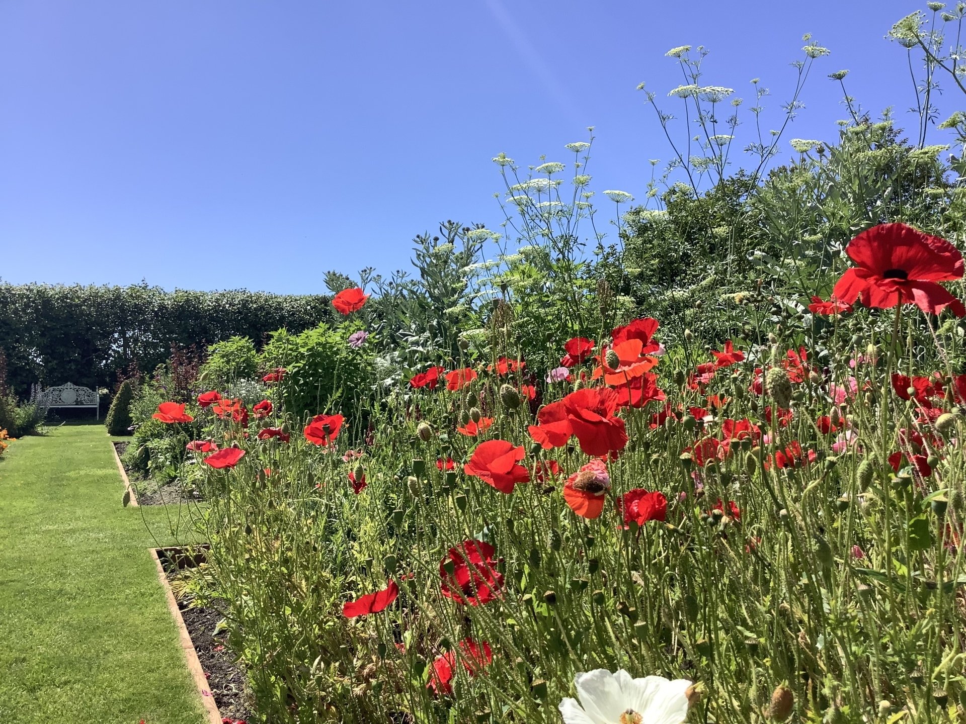Garden Centre Orchard Cafe Farm Shop Holme for Gardens