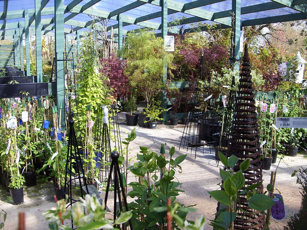 Garden Centre near Wareham, Dorset Holme for Gardens