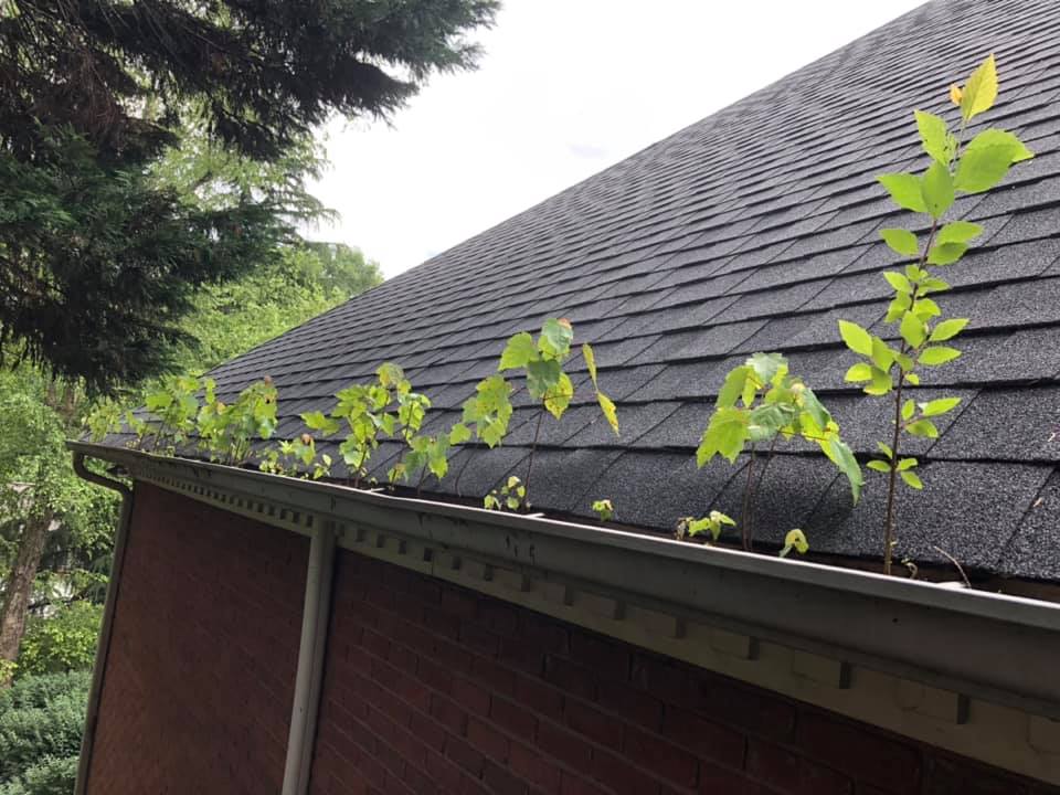 Repair Gutters Greenville, SC Legacy Gutter Co.