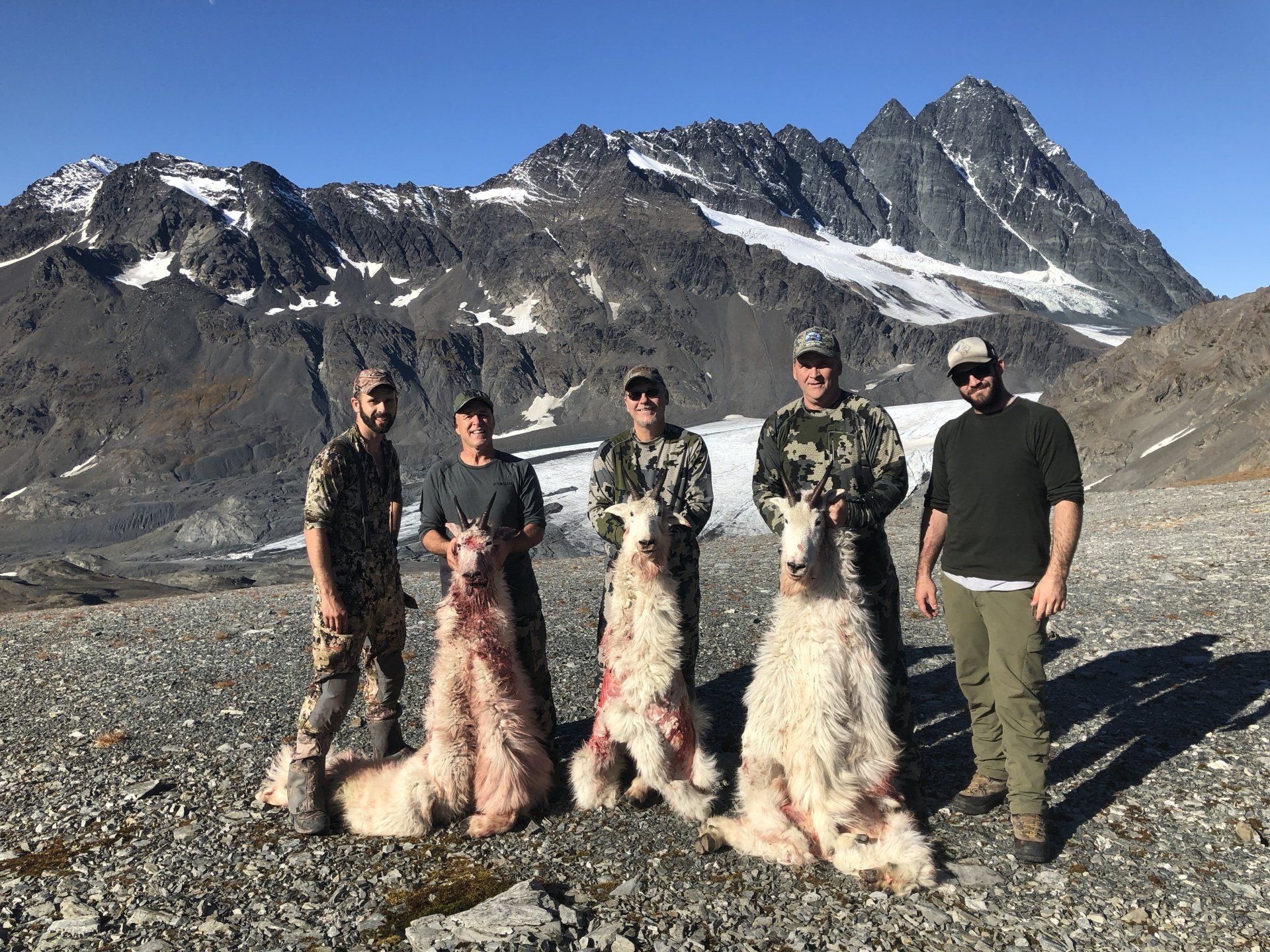 Alaska Mountain Goat Hunt