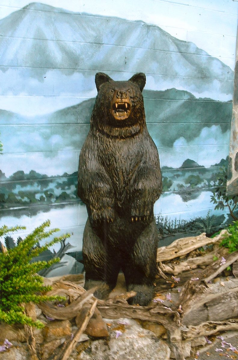 Wildlife Wood Sculptures & Chainsaw Carvings in Gatlinburg, TN