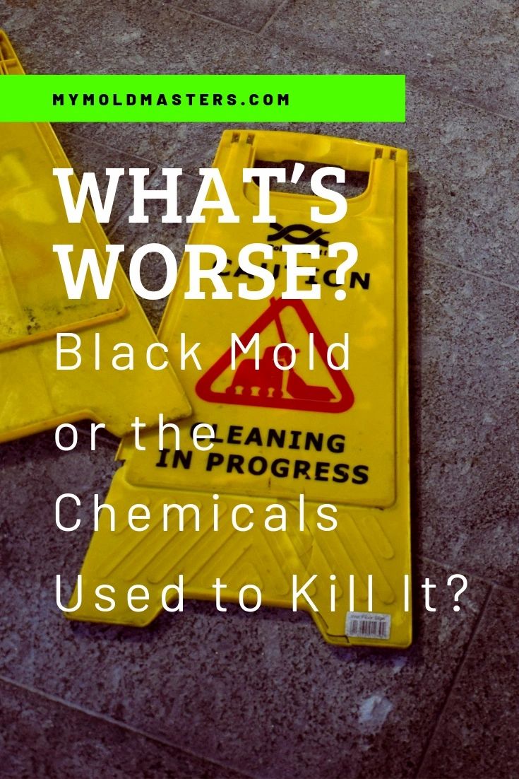 What's Worse? Black Mold or the Chemicals Used to Kill It?
