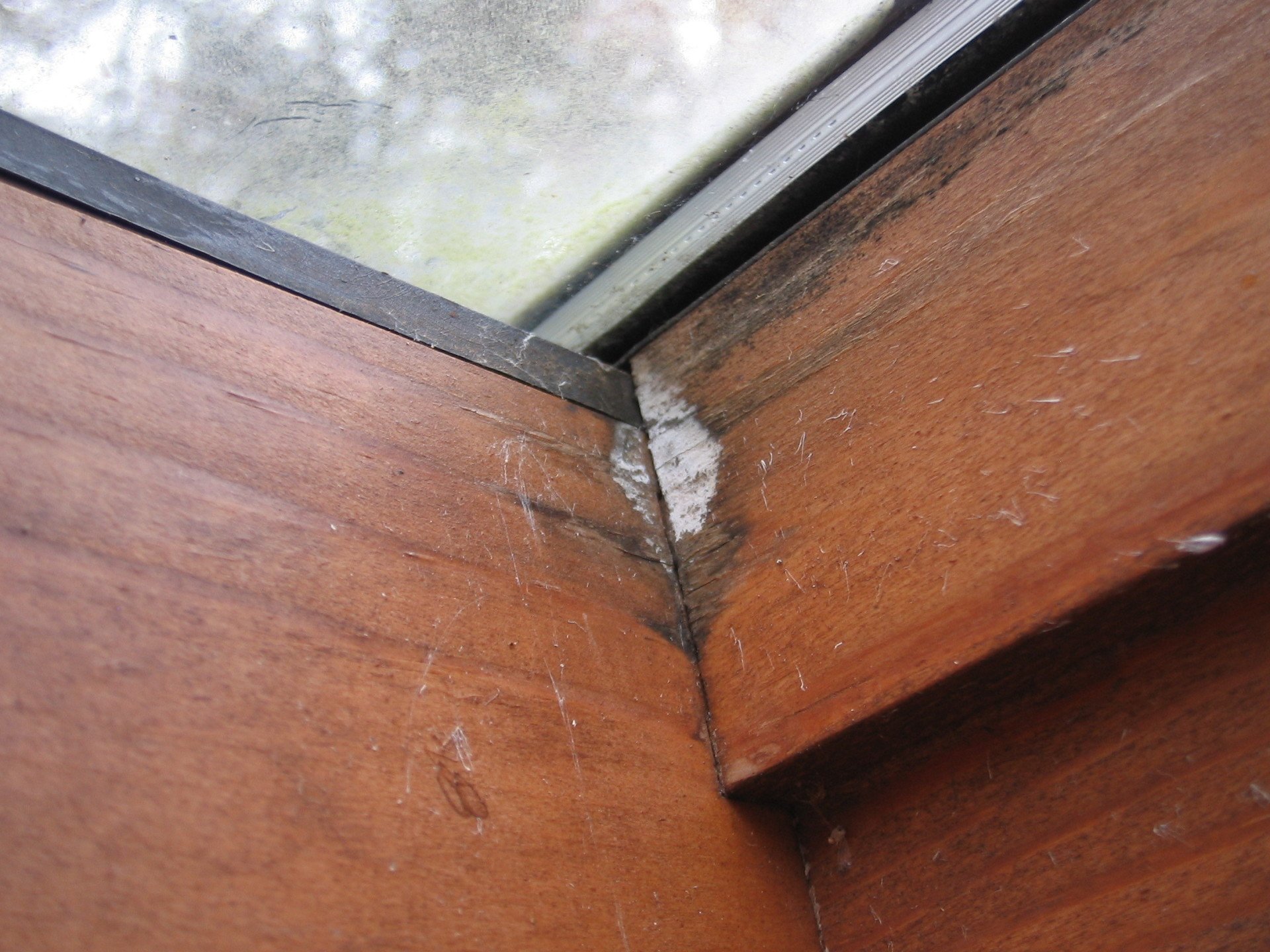 Skylight Leak Repair Specialists in Chicago by NSS Exteriors