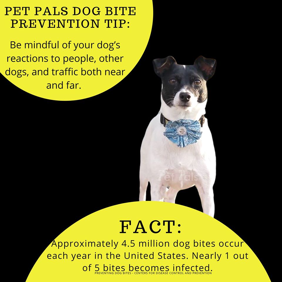 Dog Bite Prevention Week