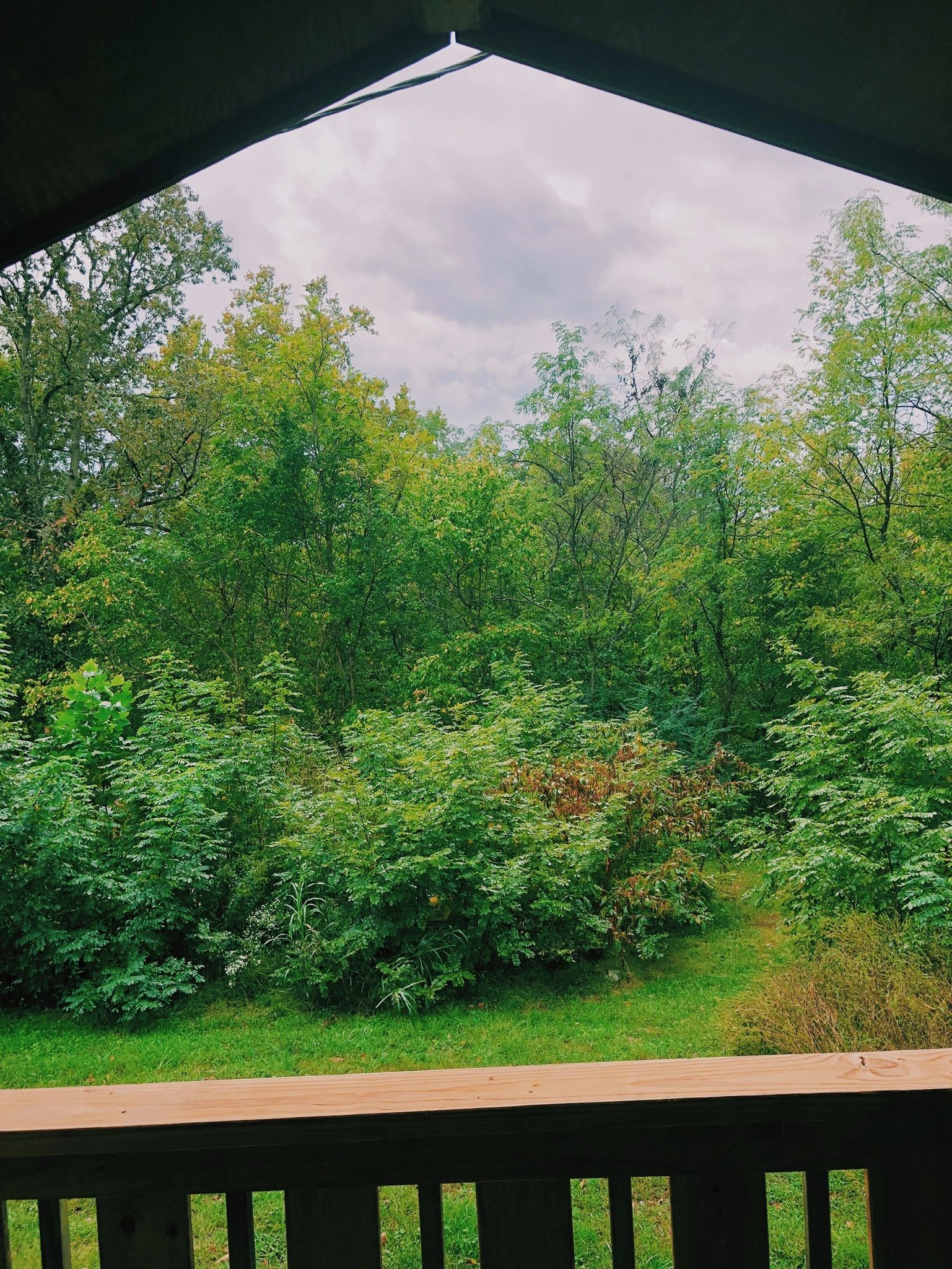 Cabins Vacation Rentals Noel, MO Ginger Blue Resort