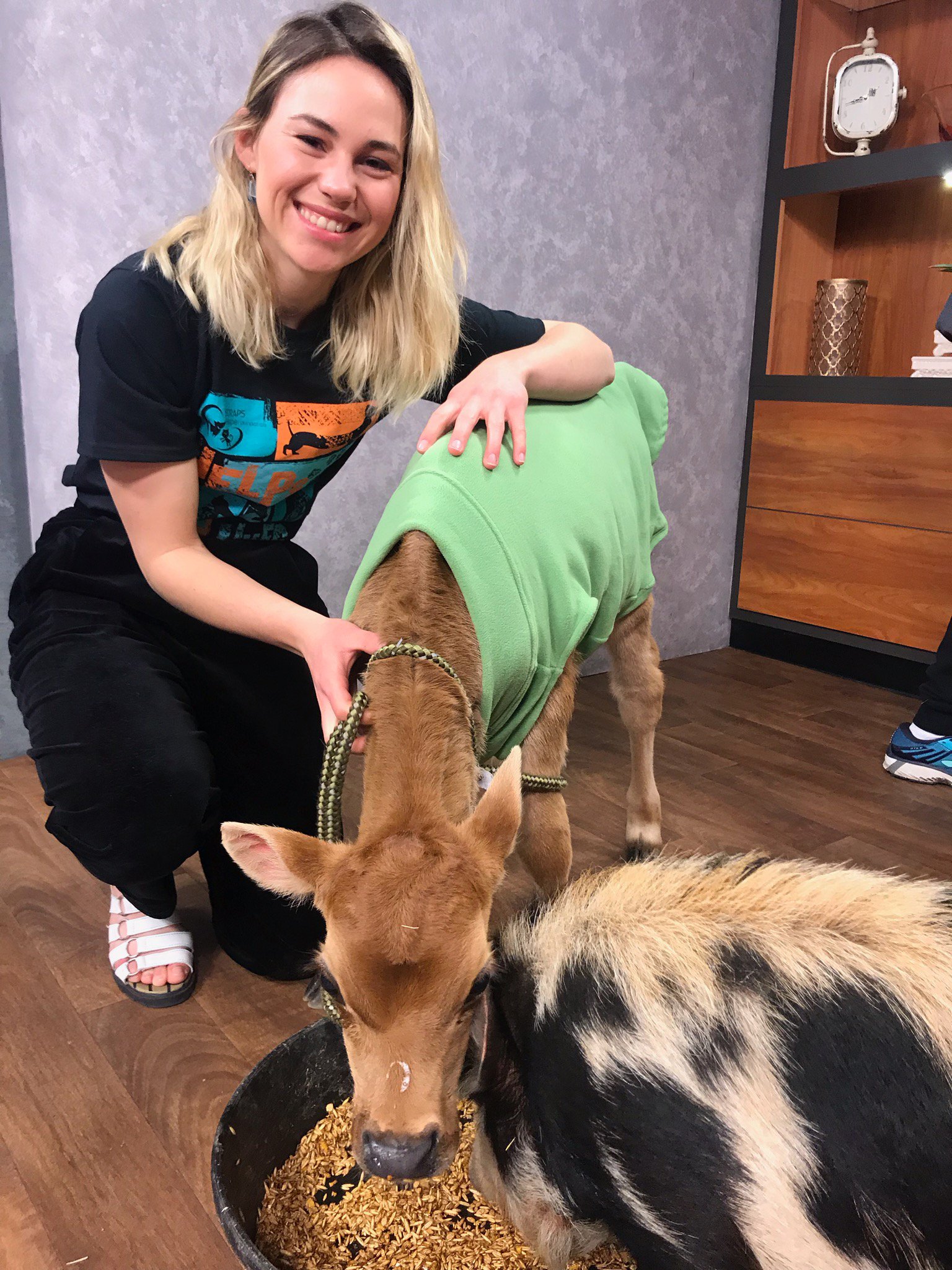 Northwest Pet Expo Sponsors Gallery