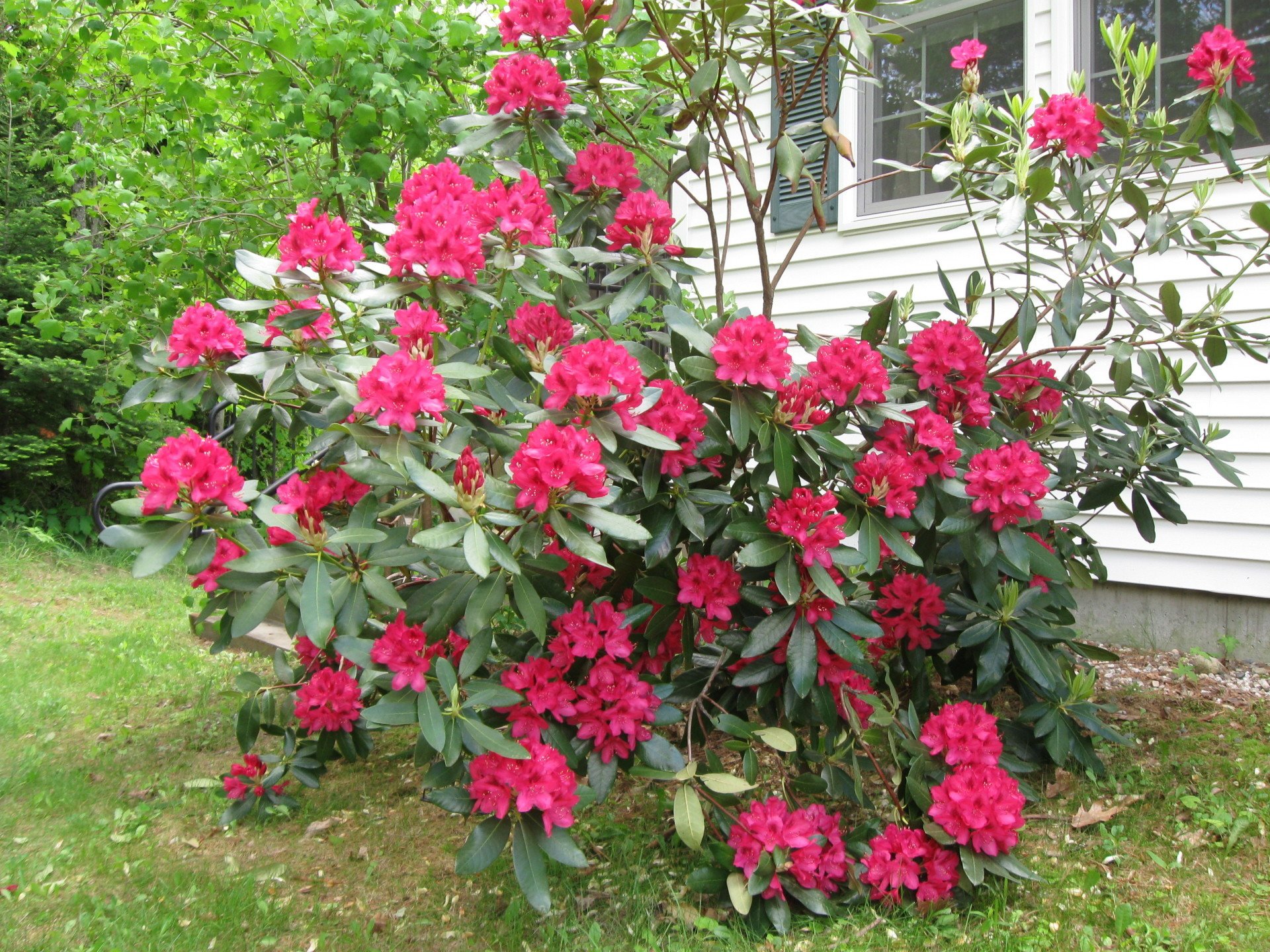 The Casco Inn Residential Care Facility