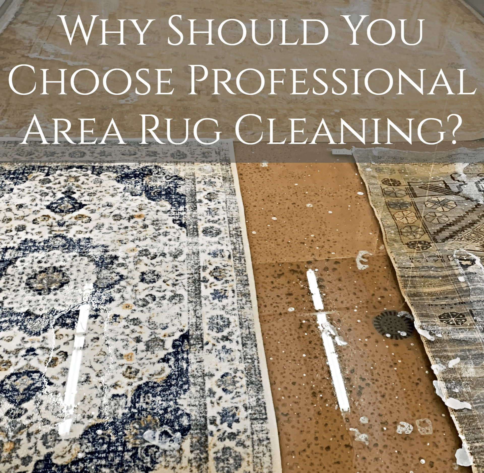 Why Should You Choose Professional Area Rug Cleaning?