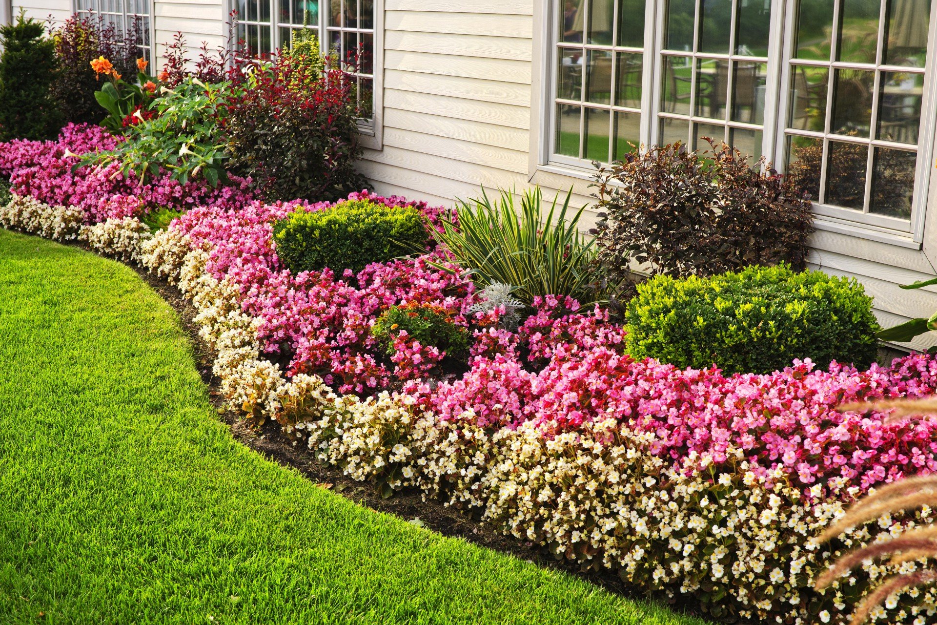 Premium Lawn Treatment Richmond, TX, Sugar Land, TX and Pearland, TX
