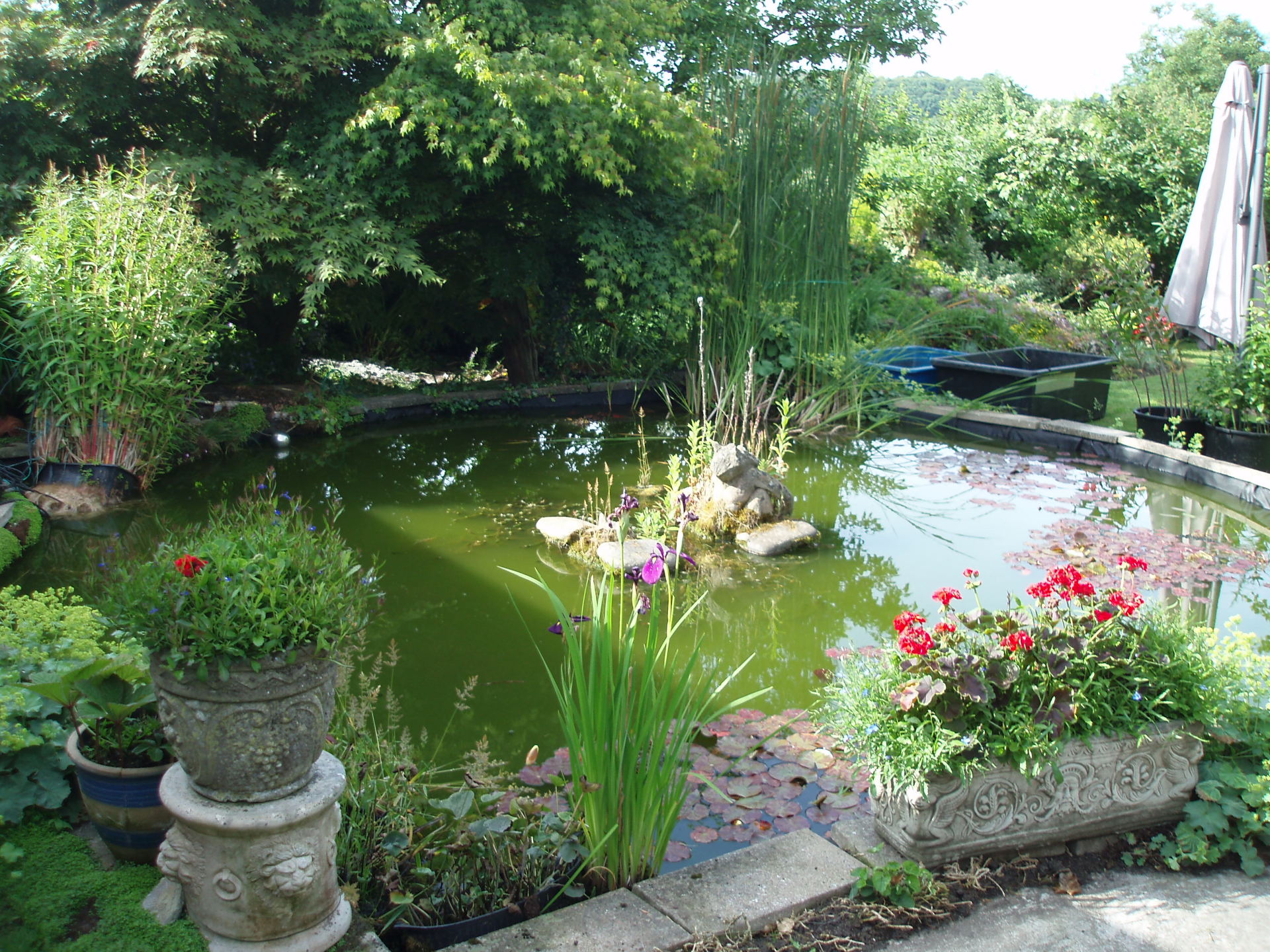 Pond Accessories Bridgwater Perfect Ponds Plus