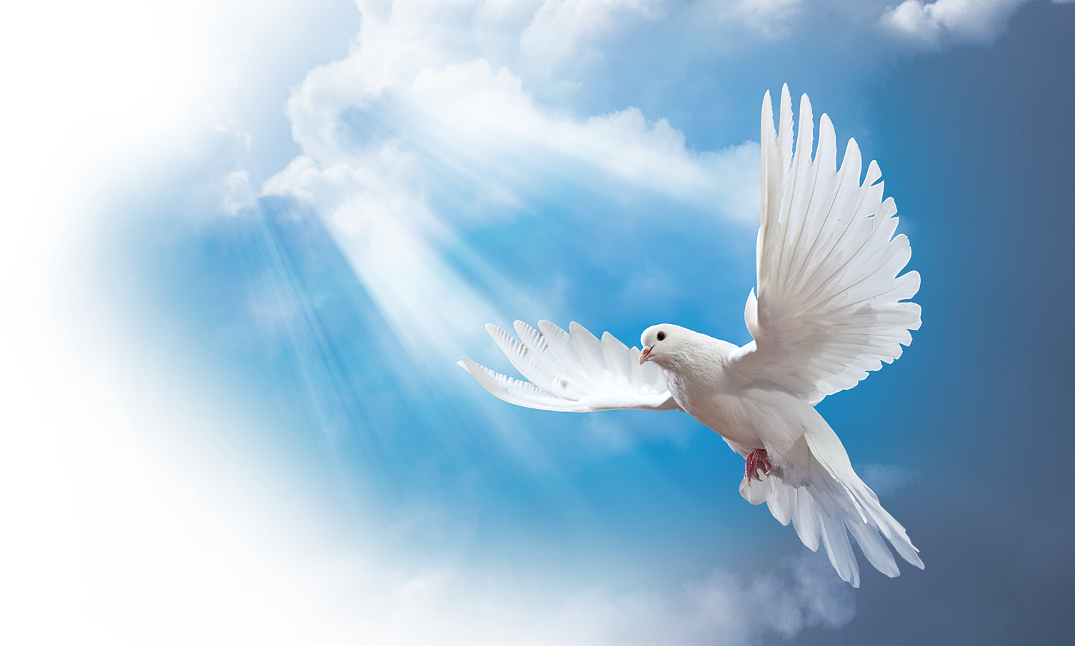 Speaks Chapels Funeral Home & Cremation in Independence, MO