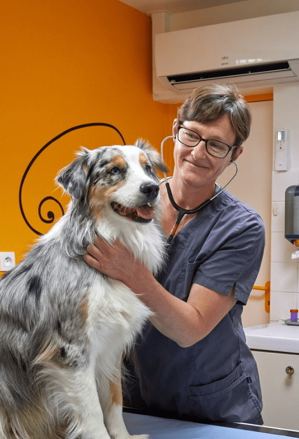Vétérinaires du Val d'Anglin pour chien, chat, NAC, chevaux et animaux