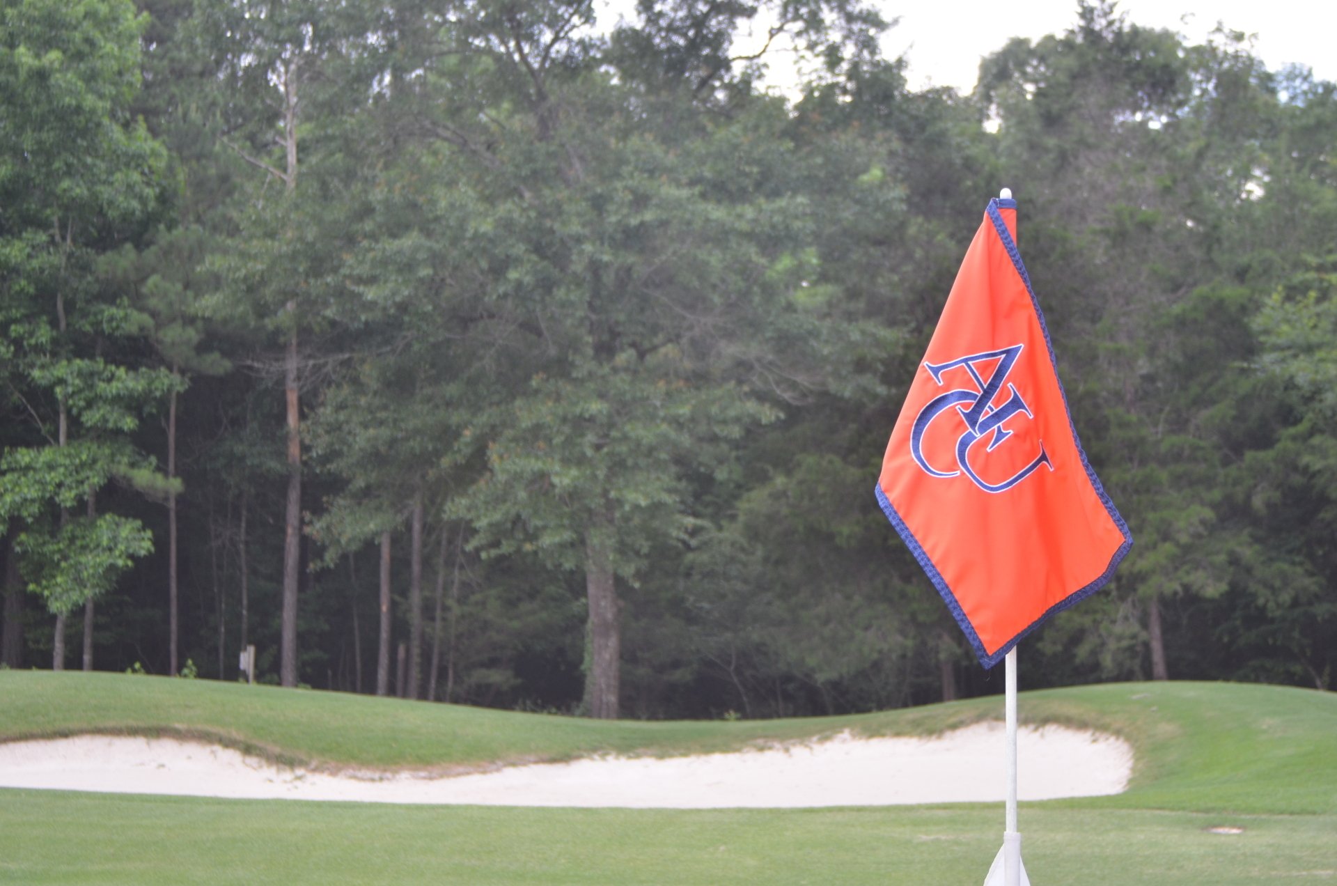 Golf Course Homes in Auburn, AL Clubview at Auburn University Club