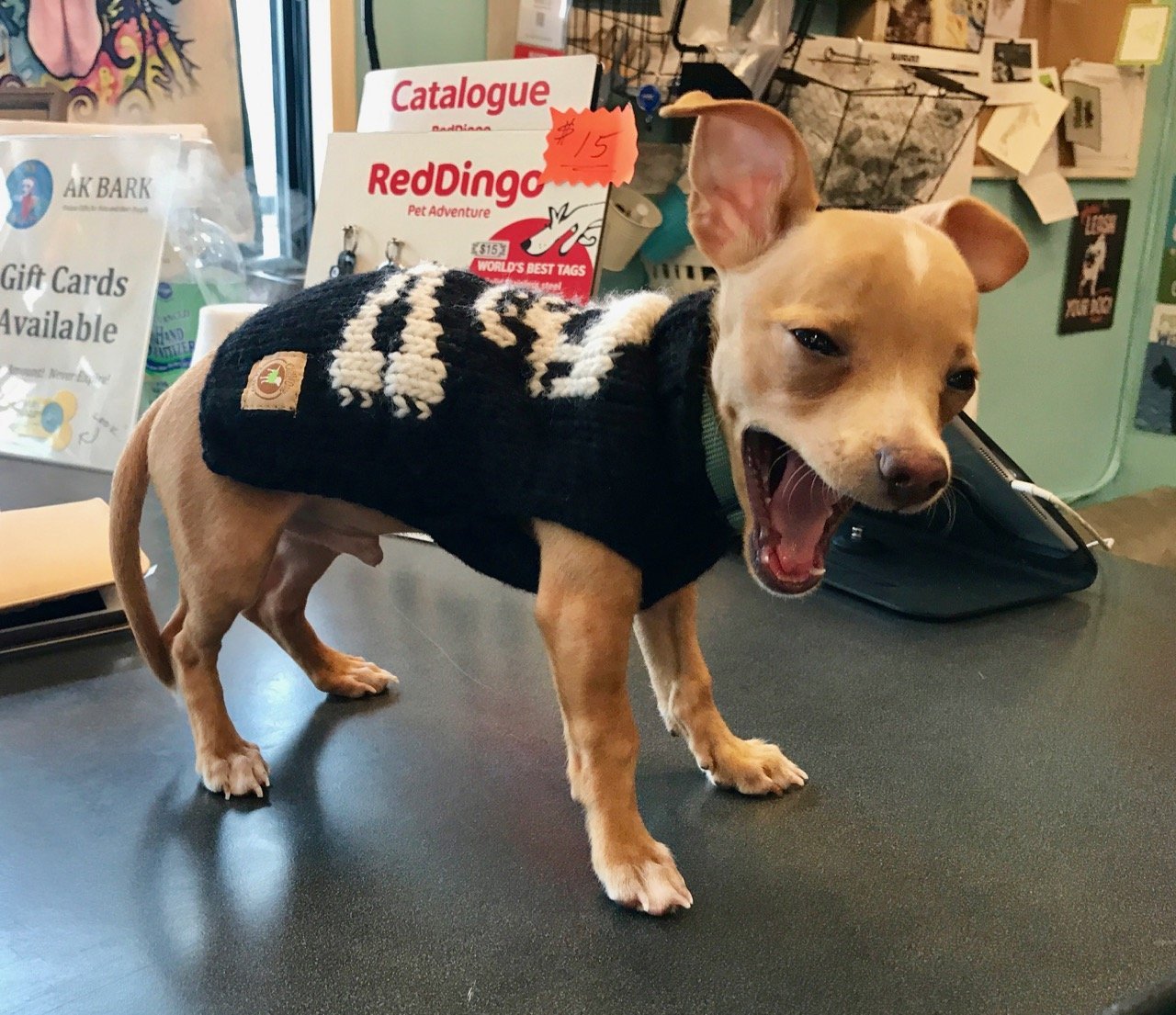 AK Bark Alaska's Premier Pet Boutique Anchorage, AK