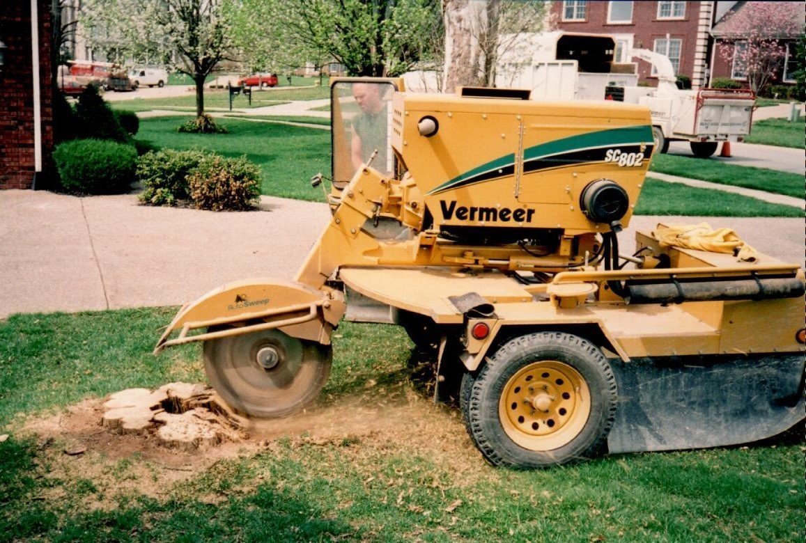 Tree and Stump Removal Louisville, KY Dave’s Tree Surgeons