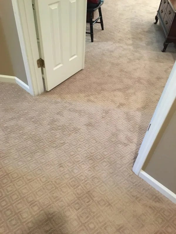 Carpet Southern Floor Co. Hot Springs Village, AR