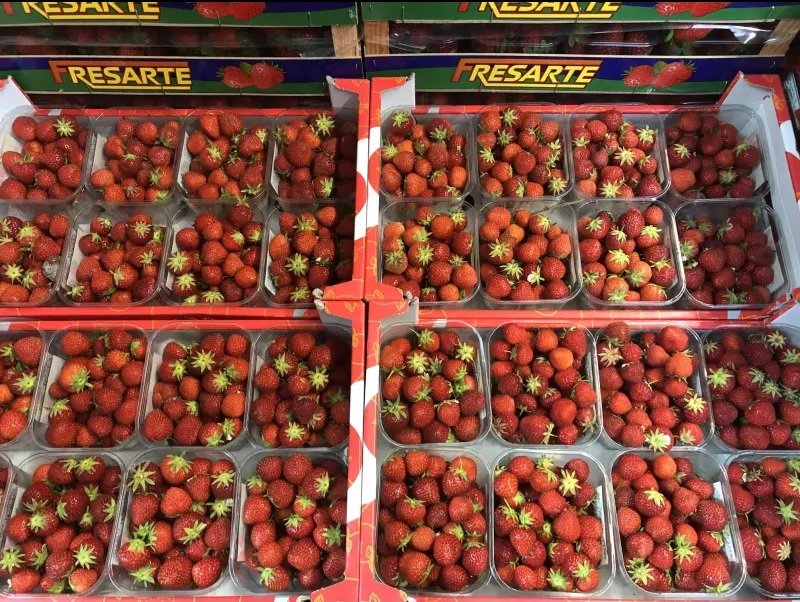 Grocery wholesalers Premier Fruits