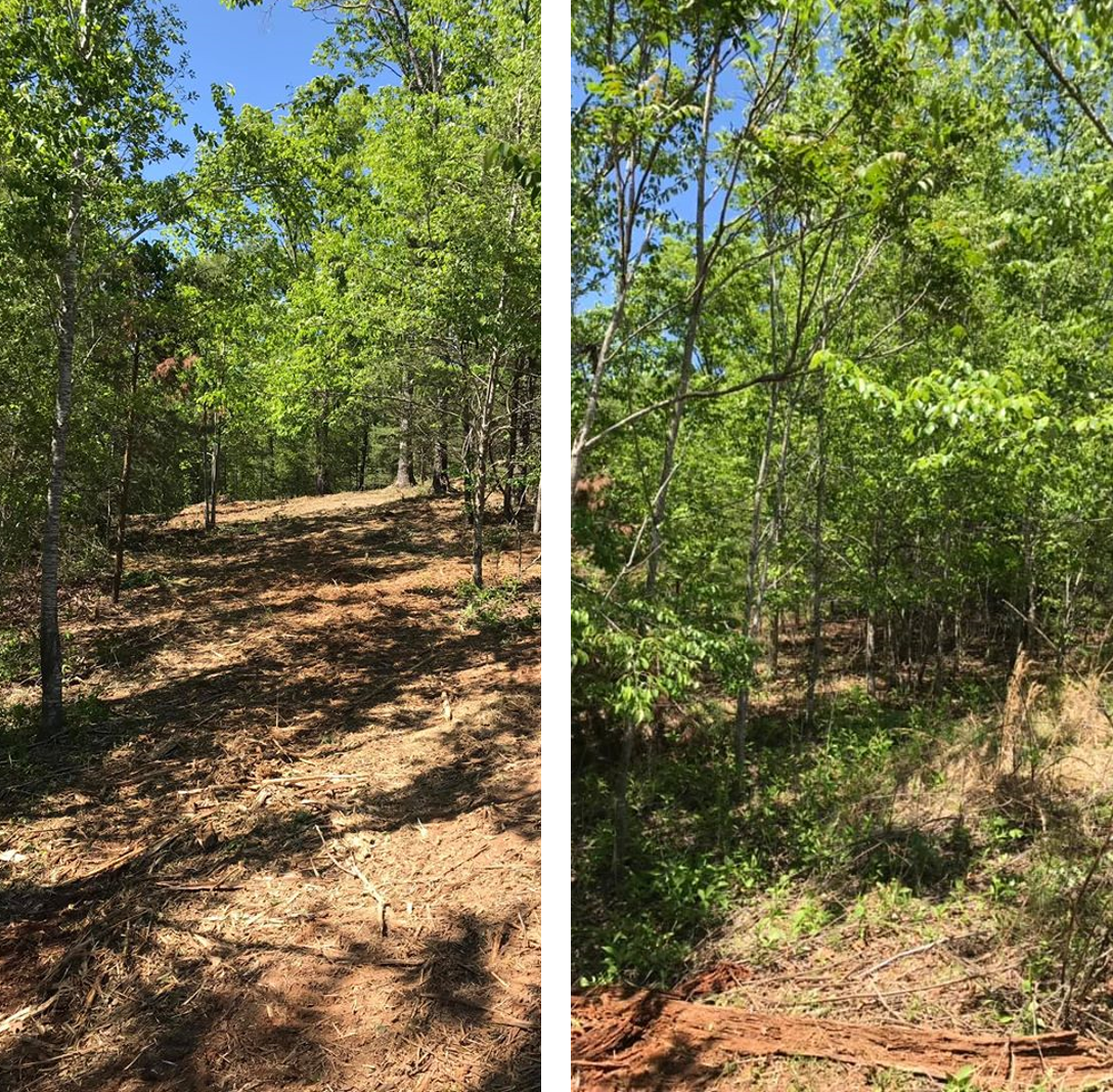 Heritage Land Management